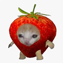 Guest_chigu2