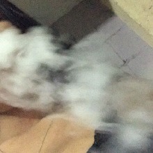 Guest_Samira454681