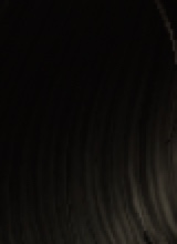 Guest_Blackangell