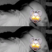 avpic