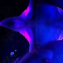 Guest_isah990