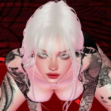Guest_Alex966721