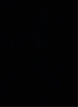 Guest_CJ288320