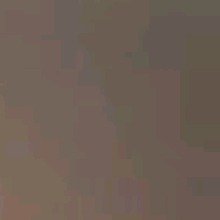 Guest_Skyler450726