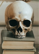 N3CROMANTIC