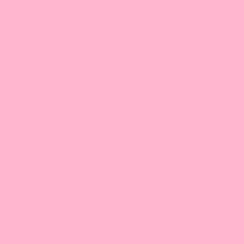 Guest_Nyla514220