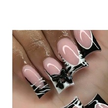 Guest_Mya153079
