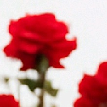 Guest_DEAMOR2