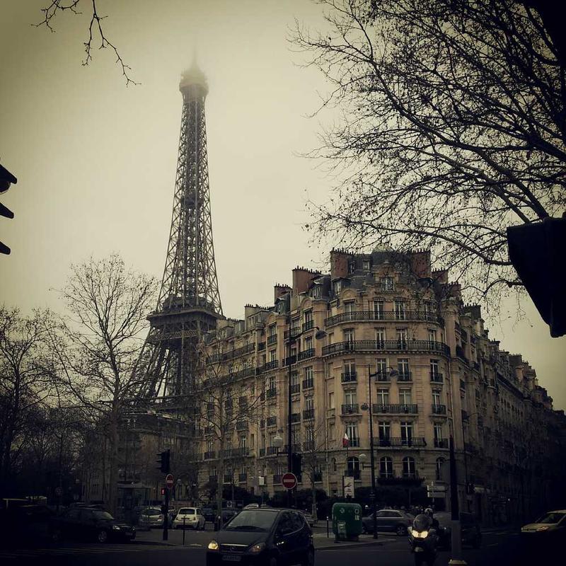 Guest_Paloma241216