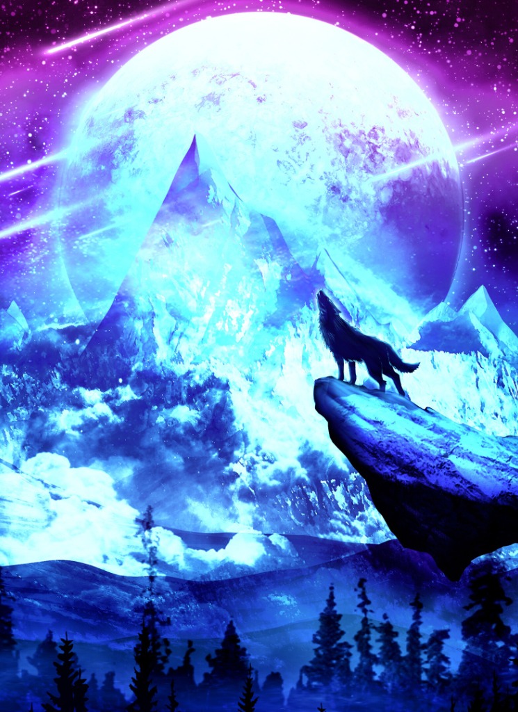 Guest_wolf545853