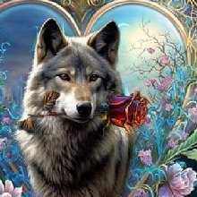 Guest_DesirableLove