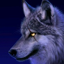 Undaunted1