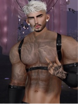 Guest_Mist01