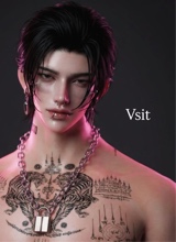 Vsit