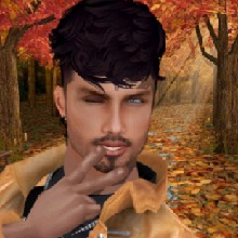Avatar Bild