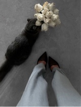Guest_Leila0817
