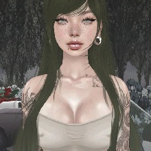 Guest_Bee647697