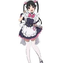 avpic