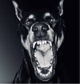 Guest_jayfrmdagrave1
