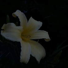 Guest_AprilIsntHere1