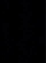 Guest_NettieBaee22