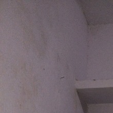 صورة الـavatar