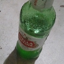Guest_NilsonCarlos