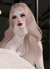 Guest_vela172838