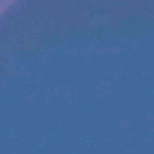 Guest_satrapheliotrope8e02