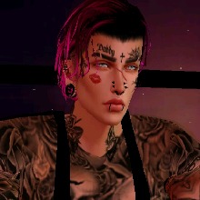 Guest_cbruner