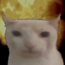 Guest_Santyb