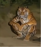Portrait de l'avatar