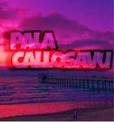 Guest_palacallosavu