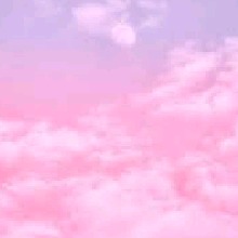 Guest_mya858552