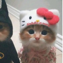 Guest_keylla38
