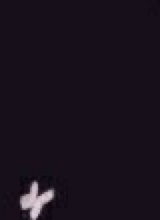 Guest_AveryTai