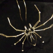 orchidantiquebra28dd