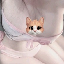 Guest_pvsm9814gmailcom