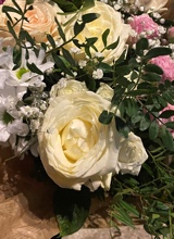 Guest_KateAnderson1