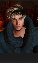 immagine avatar