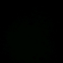 Guest_Anny2209376