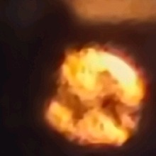 Vishe1