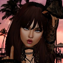 Guest_lin769675