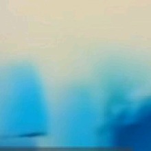 Guest_Nere501194