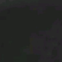 Guest_Vul13