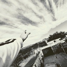 avpic