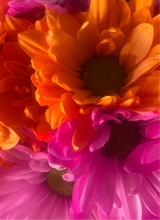 Guest_Brea968101