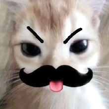 avpic