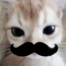 Guest_eloizamrnd
