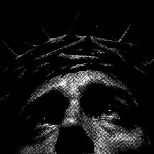 Guest_Davi16266